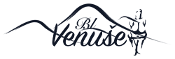 Wellness hotel U Langrů